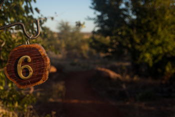 Hwange Bush Camp: Zeltnummer