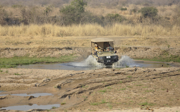 Ikuka Safari Camp: Game Drive