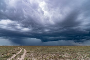 King Lewanika Lodge: Landschaft und bewölkter Himmel
