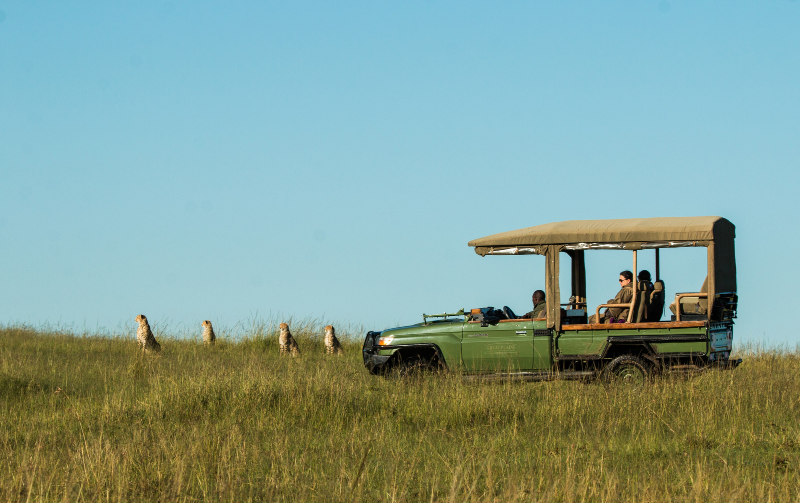 Mara Plains Camp Mara Plains Camp: 4 Geparden
