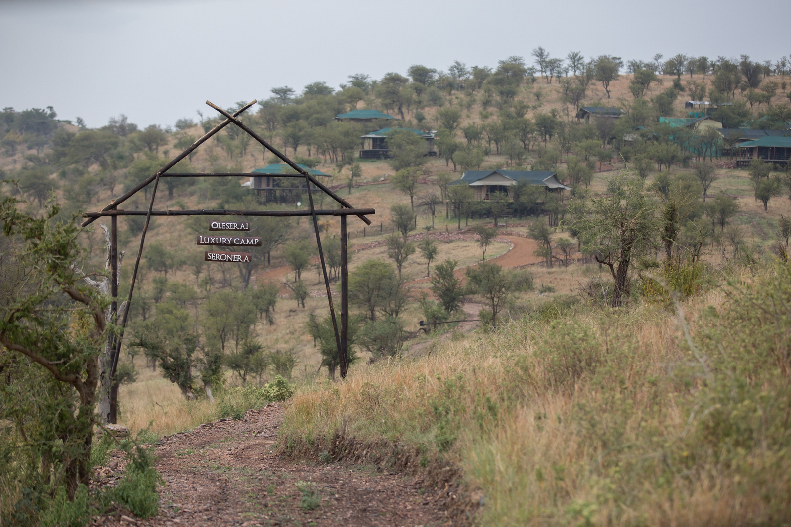 Ole Serai Camp Seronera Ole Serai Camp Seronera: Eingang zum Camp