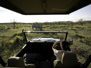 Ongava Reserve: Game Drive