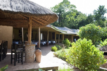 Primate Lodge: Restaurant