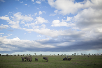 Richard's River Camp: Game Drive