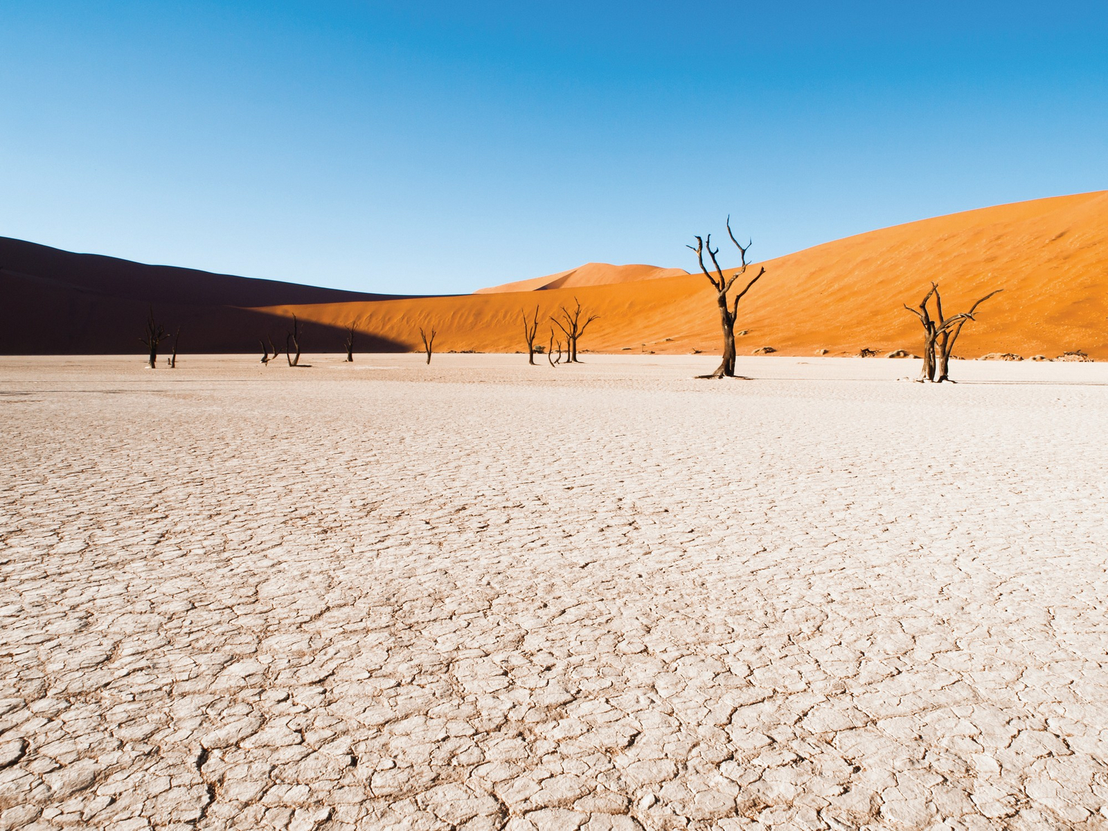 andBeyond Sossusvlei Desert Lodge andBeyond Sossusvlei Desert Lodge: Dead Vlei