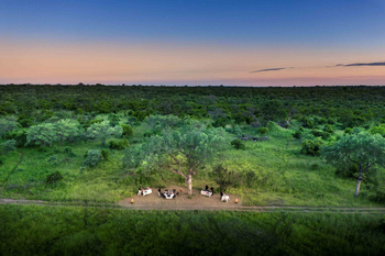 Cheetah Plains: Abendliches Buschdinner unter Akazie