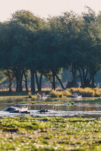 Classic Zambia Safaris Classic Zambia Safaris: Kanu-Safari