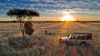 Etosha Heights Game Reserve: Tiere und Landschaft