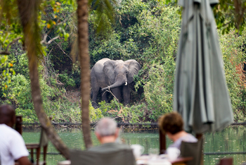 KaingU Safari Lodge: Elefant vor dem Flussdeck