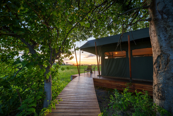 Karangoma Camp: Zugang zu einem Zelt