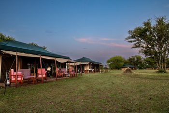 Mara Under Canvas: Campgelände