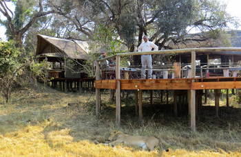 Mma Dinare Camp: Manager auf dem Deck