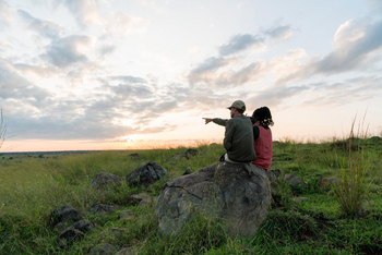 Papa's Camp: pause in der Savanne
