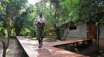 Potato Bush Camp: Service