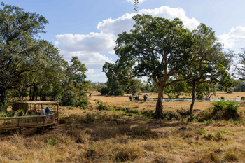 Sabi Sabi Bush Lodge: Gäste beobachten Elefanten von Holzdeck