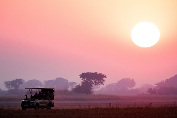 Shumba Camp Shumba Camp: Morgensonne