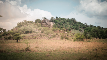 Siringit Serengeti Camp: Kopje in der Zentralserengeti