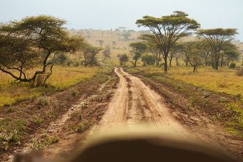 Warangi Ridge: Game Drive Piste