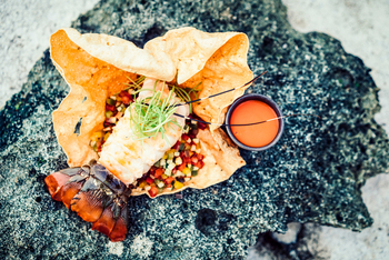 Anantara Medjumbe Island Resort: Hummer