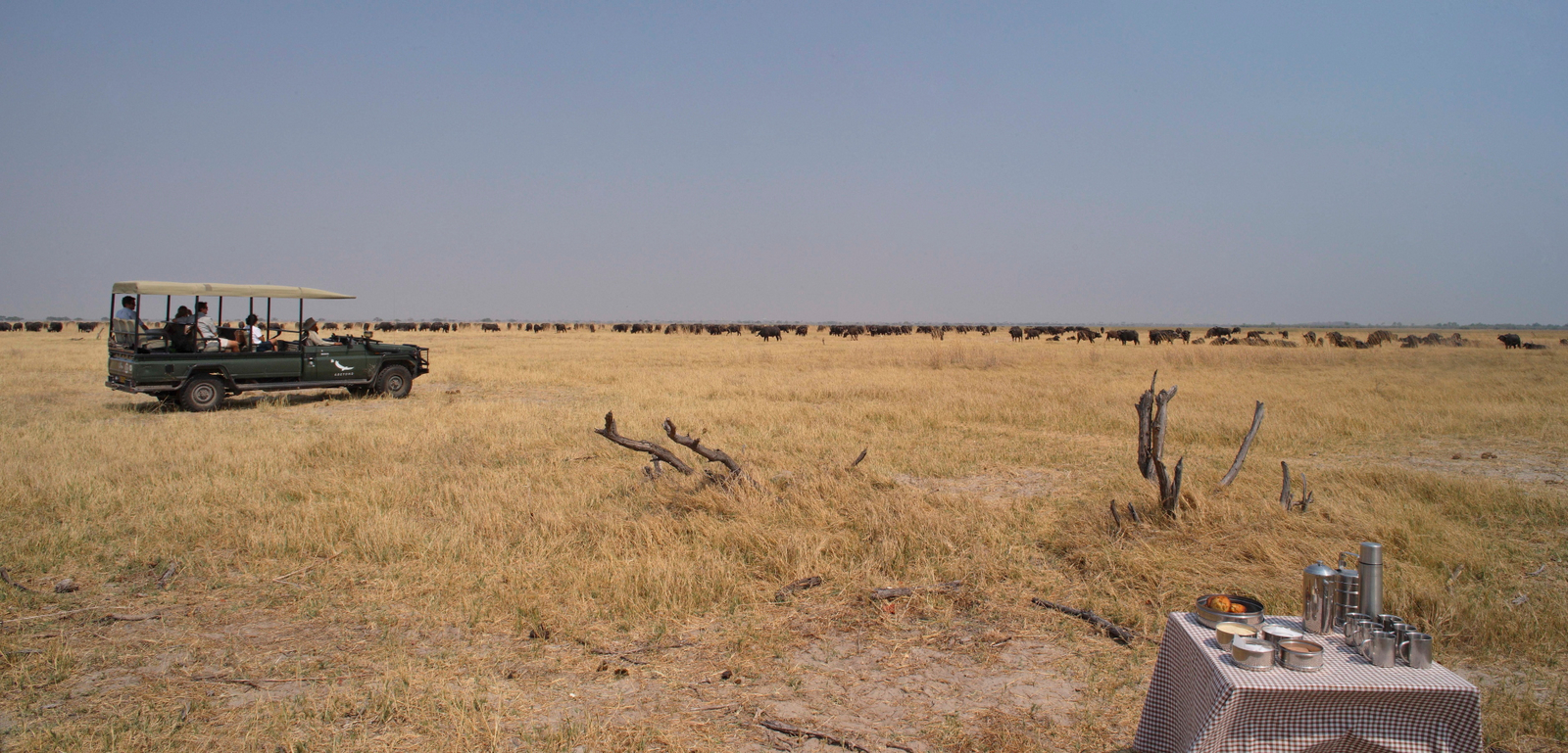 andBeyond Savute under Canvas andBeyond Savute under Canvas: Fahrt über die Savute Marsh