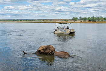 Old Mondoro Camp: Motorbootausflug