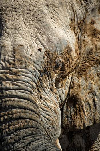 Etosha Heights Game Reserve: Tiere und Landschaft