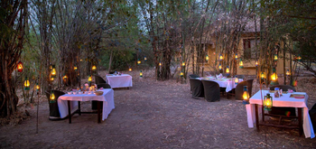 Jim's Jungle Retreat: Outdoor Dining