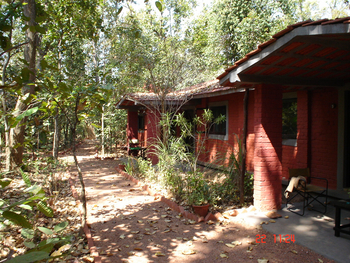 Kanha Jungle Lodge: Superior Room