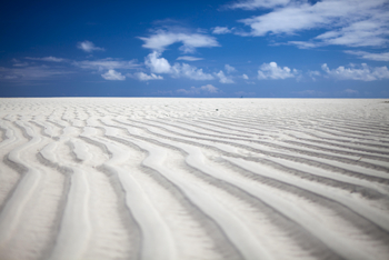 Kinondo Kwetu Kinondo Kwetu: Ebbe