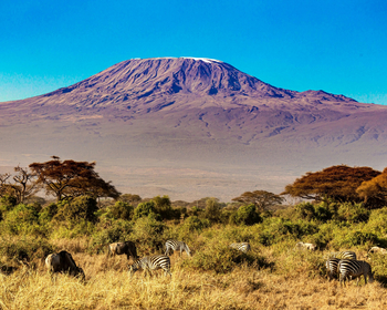 Kitirua Plains Lodge: Landschaft am Kilimanjaro