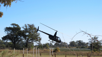 Kujwana Camp: Helikopter