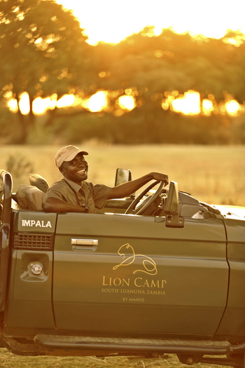 Lion Camp Lion Camp: Guide