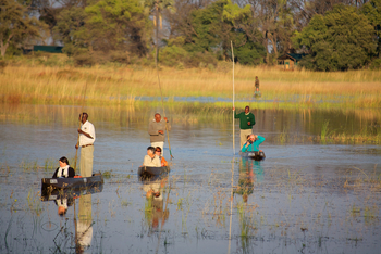 Moremi Crossing: Mokoroausflug