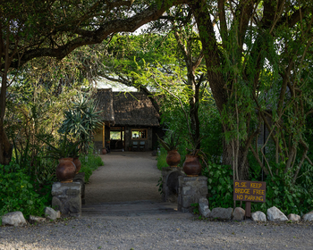Ndutu Safari Lodge: Eingangsbereich