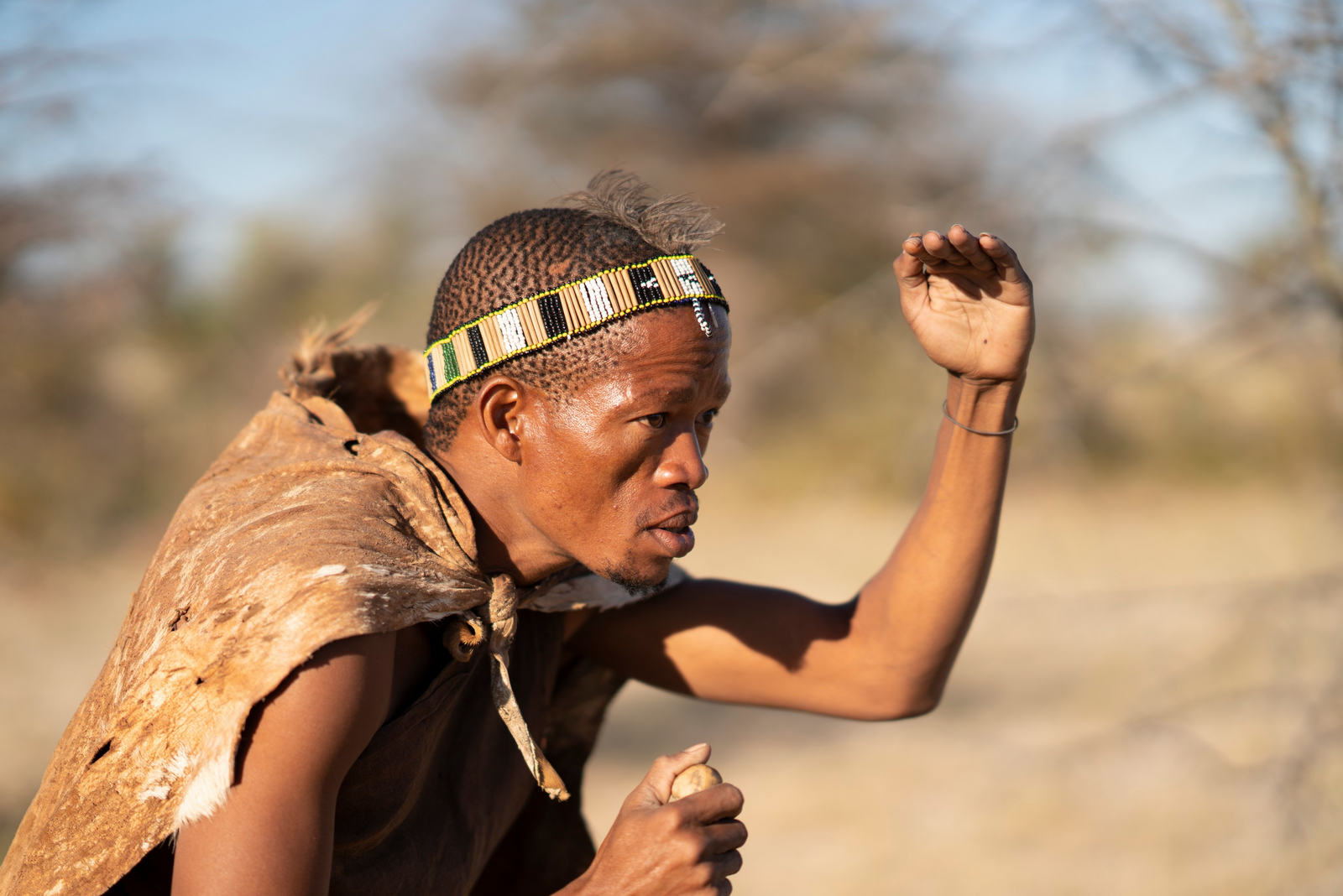 Planet Baobab Planet Baobab: Aktivitäten