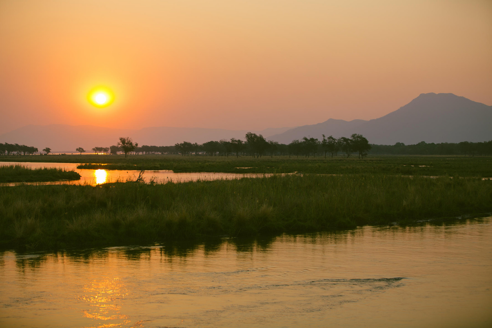 Sausage Tree Camp Sausage Tree Camp: Späte Sonne