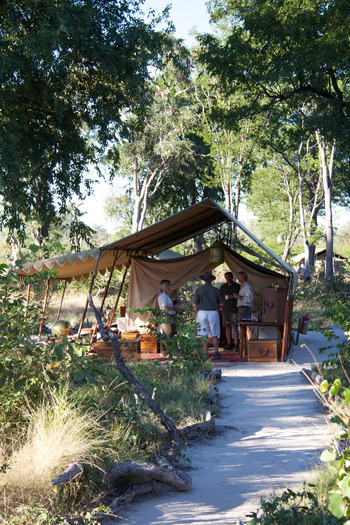 Selinda Explorers Camp Selinda Explorers Camp: Pfad durchs Camp