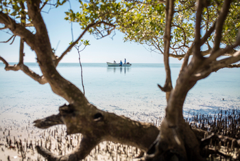 Cosmoledo Eco Camp: Angler bei den Mangroven