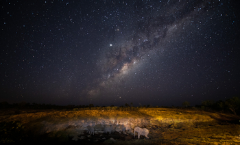Deteema Springs Camp: Sternenhimmel