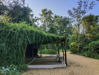 Forsyth Lodge Forsyth Lodge: Begrüntes Gondia-Cottage