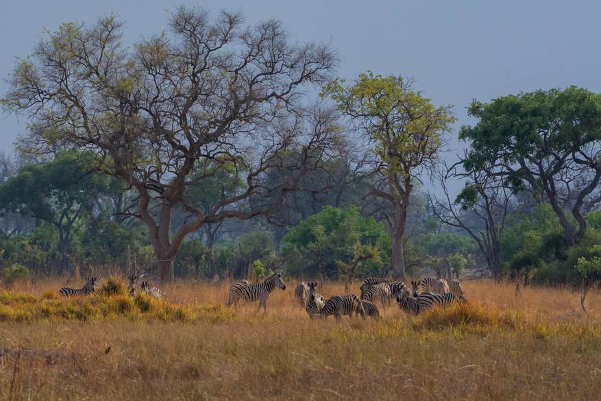 Karangoma Camp