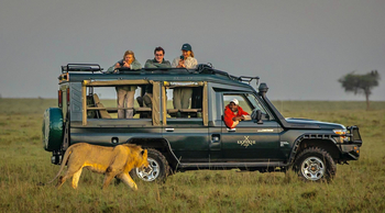 Kicheche Mara Camp: Löwe am Fahrzeug