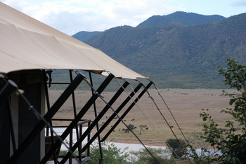 Mkomazi Wilderness Retreat: Aussichtsdeck mit Elefantenherde auf Savanne