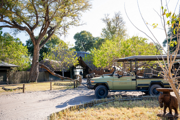Pom Pom Camp: Vorfahrt