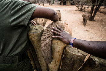 Saruni Samburu: Reteti Elephan Sanctuary