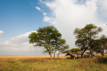 Serengeti Safari Camp: Hauptzelt unter Bäumen