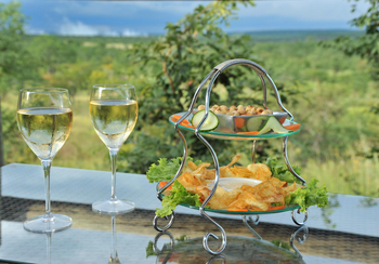 The Elephant Camp East: Wein und Knabbereien