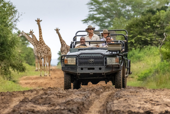 andBeyond Phinda Forest Lodge: Pirschfahrt mit Giraffen auf schlammigem Weg