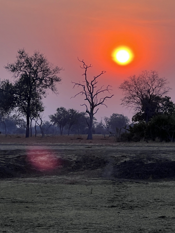 Chikunto Safari Lodge Chikunto Safari Lodge: Späte Sonne