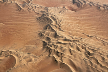 Desert Homestead Lodge Desert Homestead Lodge: Ballonfahrten